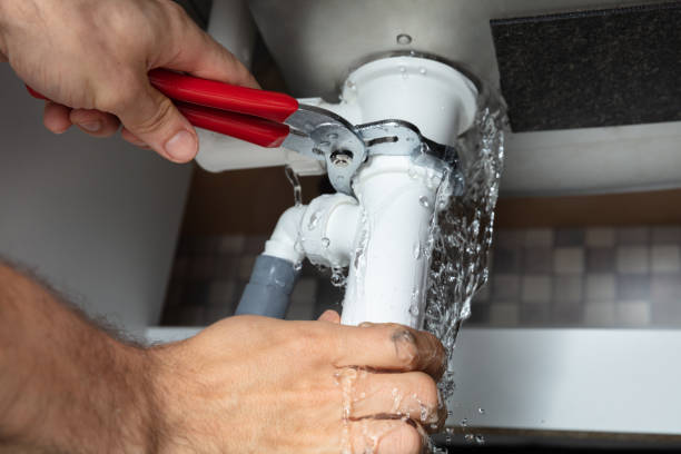 Best Carpet water damage restoration  in Walker, MI