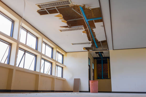 Best Water damage restoration near me  in Walker, MI